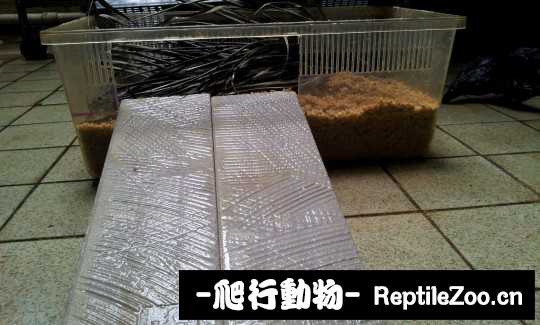 100522p2v3p3txieo8z3bt.jpg