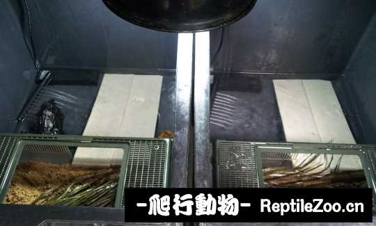 100523zz1sj9g7779197gp.jpg