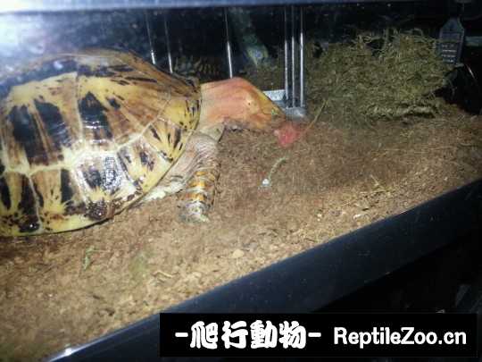 100615tevpvv212h6dhdhv.jpg