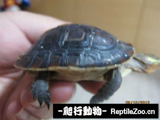 100808awxdkk4bdkdxk5sx.jpg