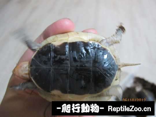 100809w3k7kthxe3xueahk.jpg