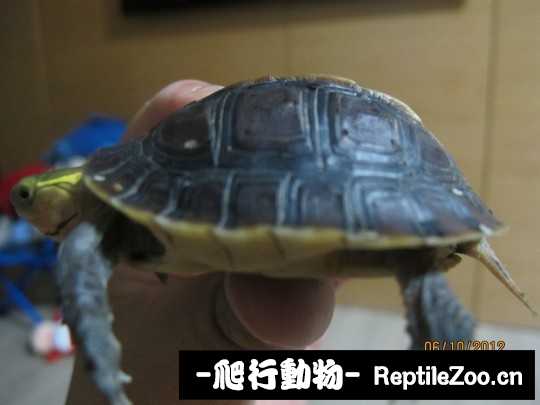 101204kmfdd6jpd6mfgfgw.jpg