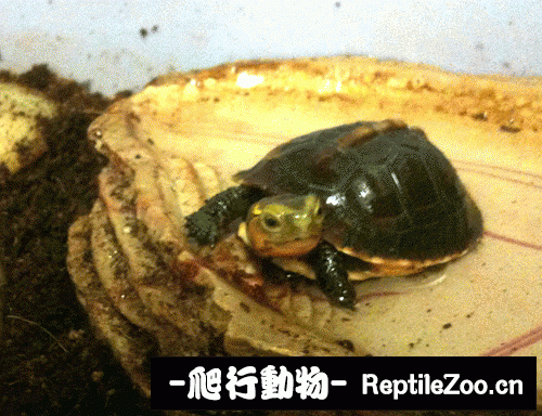 101221d56m2zdzp3kmajny.gif