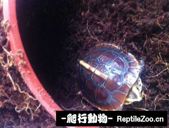 101325gaapyicqh4pcfxqm.jpg