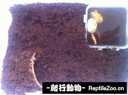 101326iyufpp493npx98bx.jpg