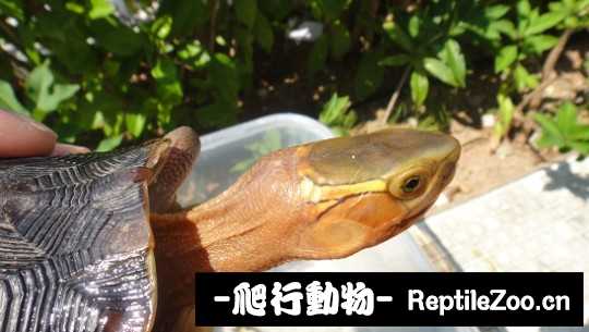 101516lhg4heum5hhm4pqp.jpg