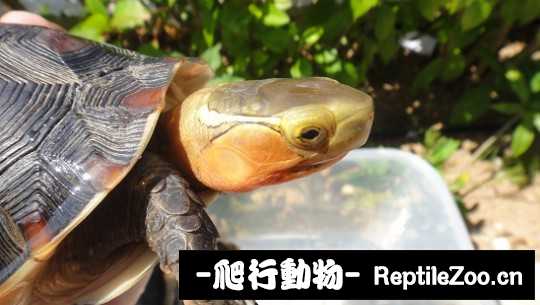 101519svzwvfnzagpglg2g.jpg