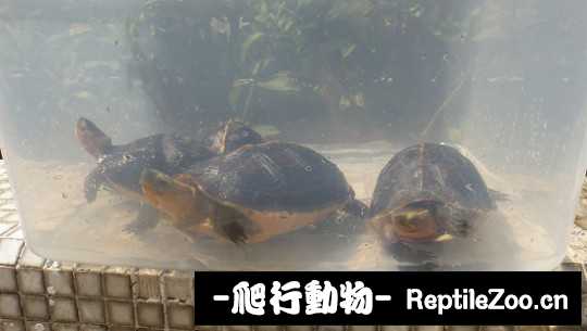 101521tuuc3thtgwmzmu3m.jpg