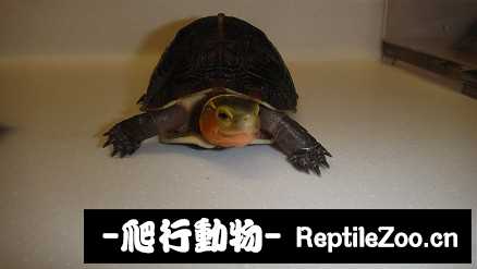 101536xewtffnvn33i3ivn.jpg