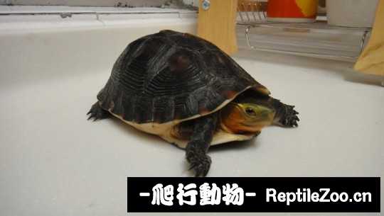 101539orkhhcksodks99b3.jpg