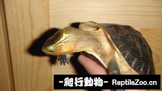 101602q11kizf6j54zkjj1.jpg