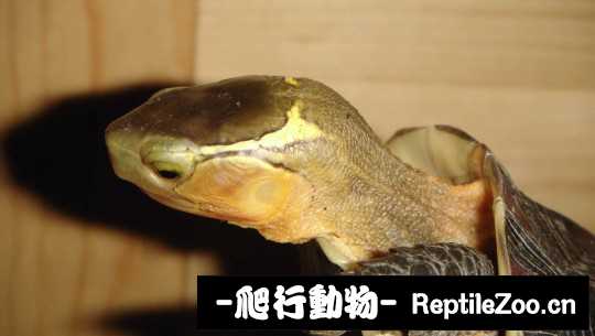 101602xdpkmkwkigw2o7ow.jpg