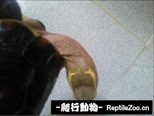 101636cjf5q7j8wkv75jsy.jpg