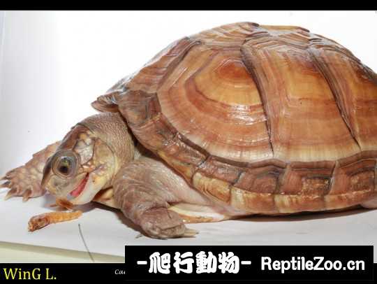 102024rfzg0bhusju0a0uh.jpg