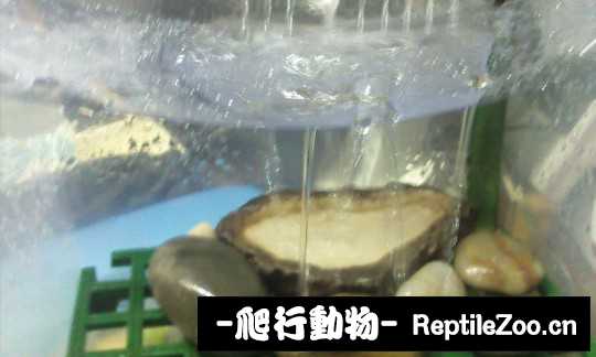 102120iteenn4xrdanprpr.jpg