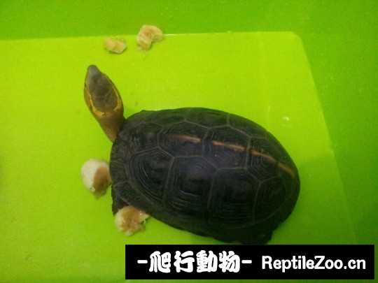 102133trh9gi8g3rwinrq9.jpg