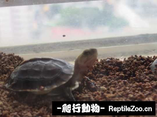 102143a9os9t69gkzta4rj.jpg