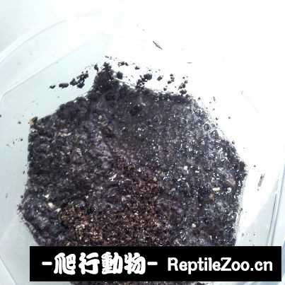 102435ho6623m46z3dt663.jpg