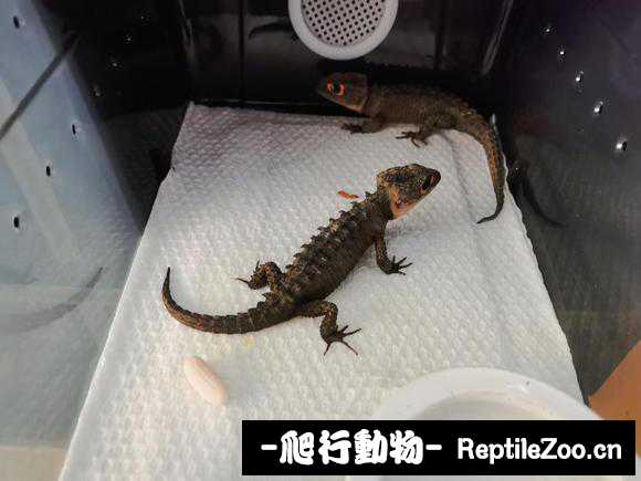 102511it3h2mm3m2htptly.jpg
