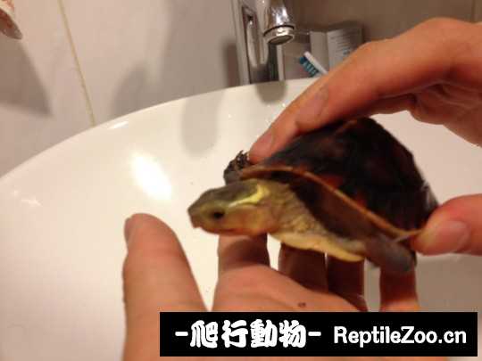 102608lzvjhhckc9ccf0y0.jpg