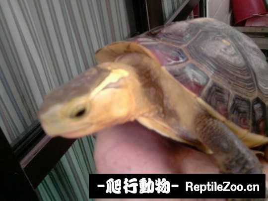 102657rtrj689j0j765rro.jpg