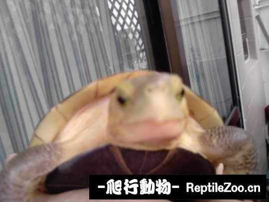 102658jlddqtalqdjq11tk.jpg