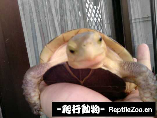 102658uw0rckbtcqm2gzkb.jpg