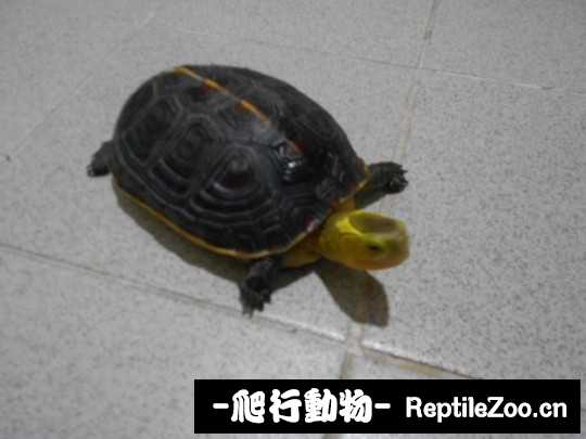 102703d9i4mg44mt94w8zm.jpg