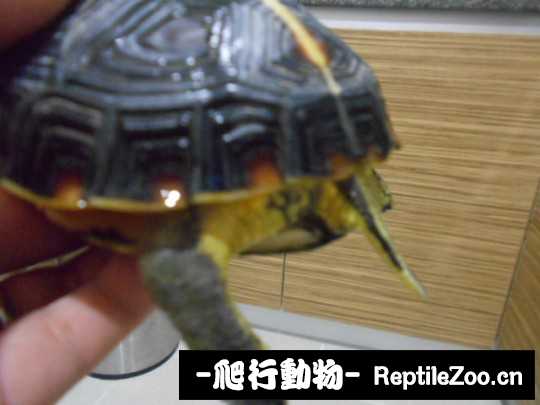 102705dw7f7kd9hetwdhfd.jpg