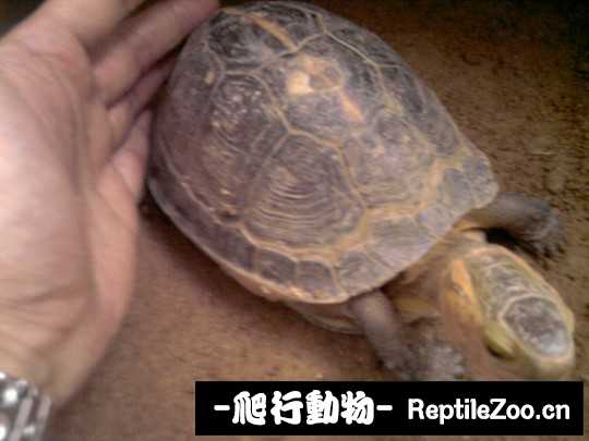 102715zsyeenb9g1dfyq1i.jpg
