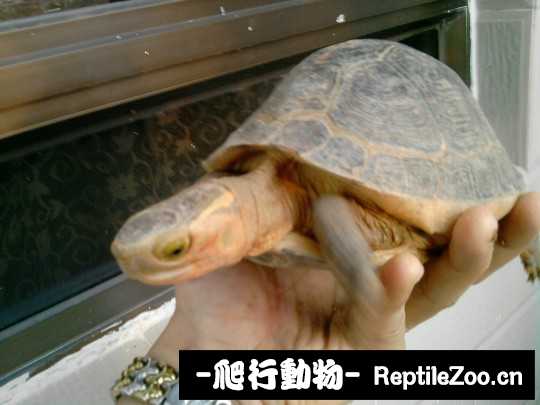 102716xbicttgtgw6rjcbc.jpg