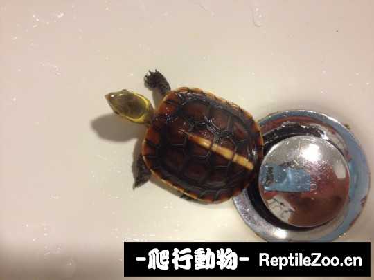 102834icmct6hziutcuomt.jpg