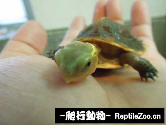 103102ow7w077aw32z3g7z.jpg