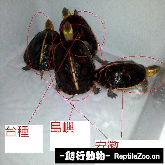 103121hablm2azxk9ffxzk.jpg