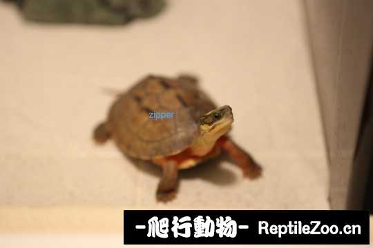 103136ra9uahanhx9khh97.jpg