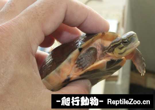 103522zoa90u37vuo7wd3t.jpg