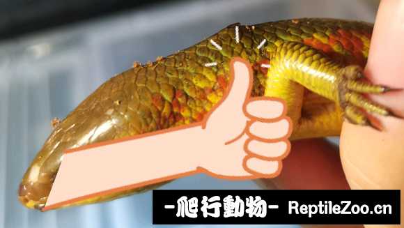 111510zpny8le8ety4cglp.jpg