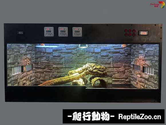112504qxq6vfz1vfakkjkx.jpg