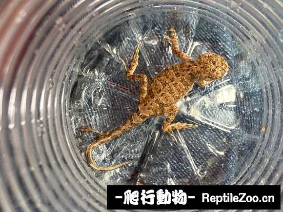 113508z221fbza2z23o2v3.jpg