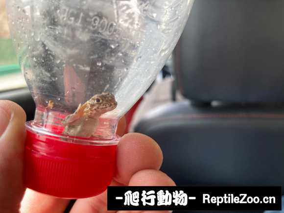 113509hkzzjiitijijtdjf.jpg