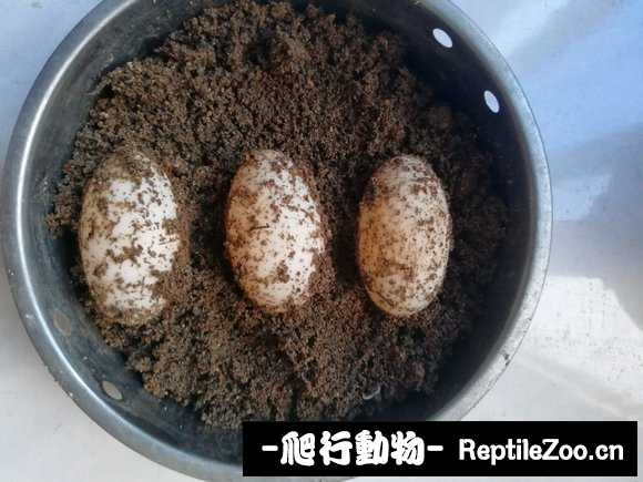 145529myb4bymychmfb4yc.jpg
