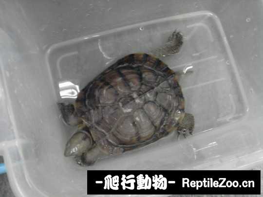 151522glg044ll44q4eeml.jpg