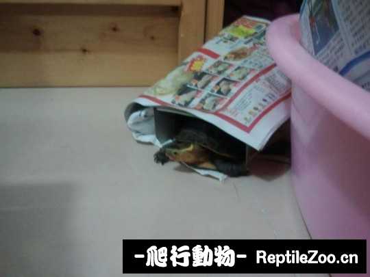 152203rgxh85g9g6u8ue6h.jpg