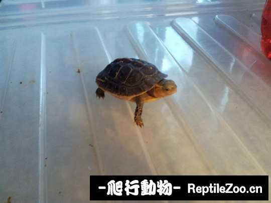 152528c8bxejj7inejkz7j.jpg