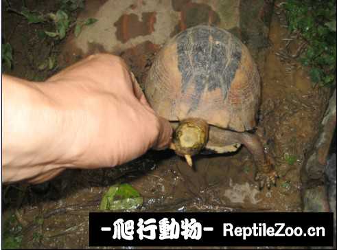 172536p7vr7h0shicfcrih.jpg