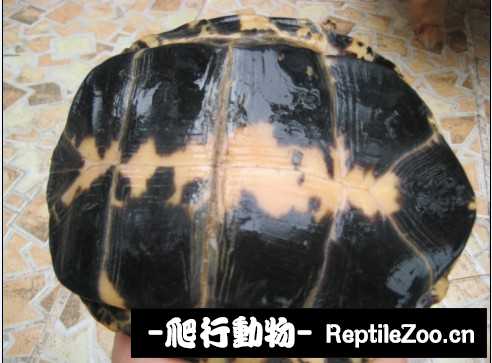 172537uwiqdxwn93d0x1m1.jpg