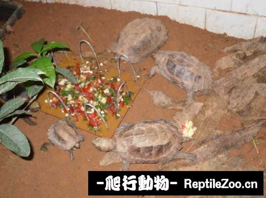173024pxtmxptm79kdplp7.jpg