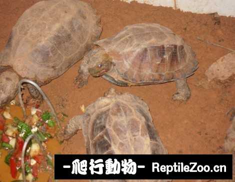 173027yf0nrp6z020n09mr.jpg