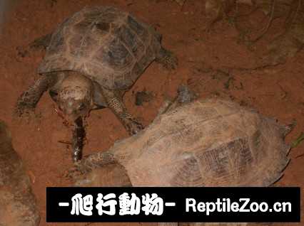 173029qtkqc1rcpqp6qeur.jpg