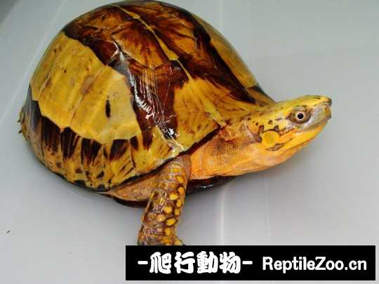 173039n1cfd828smmnnsgd.jpg